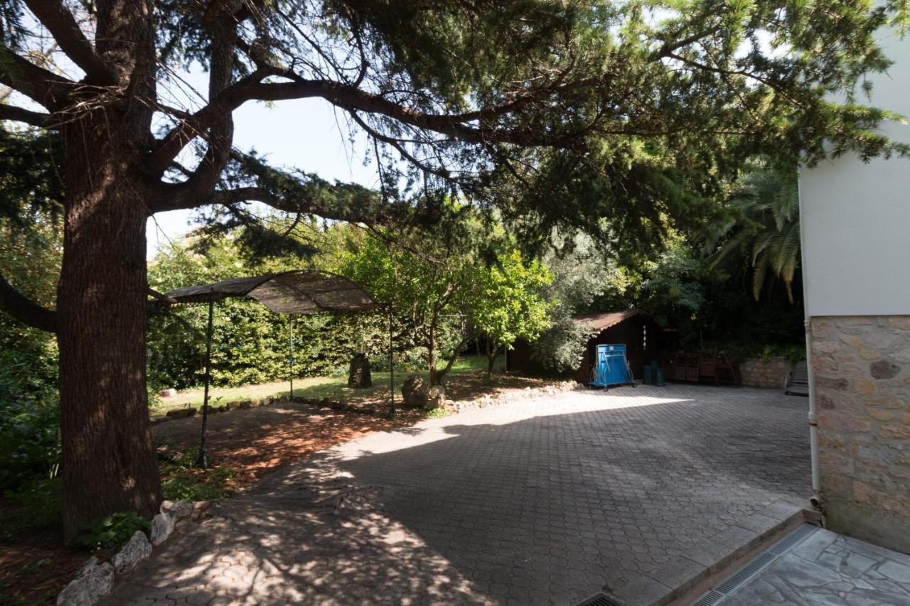 Villa Tsavorite - Cannes Californie Dış mekan fotoğraf